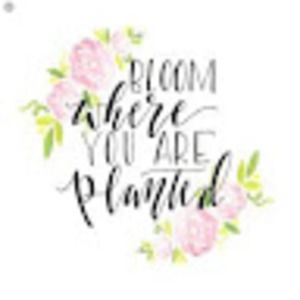 Meet your Posher, Monica